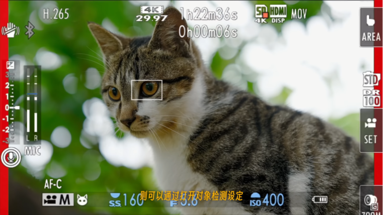New Fuji X-M5 video autofocus conspiracy