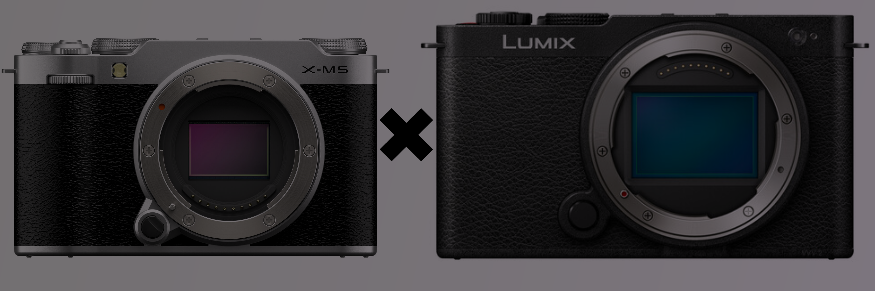 Comparing the Fuji X-M5 with the Panasonic Lumix S9