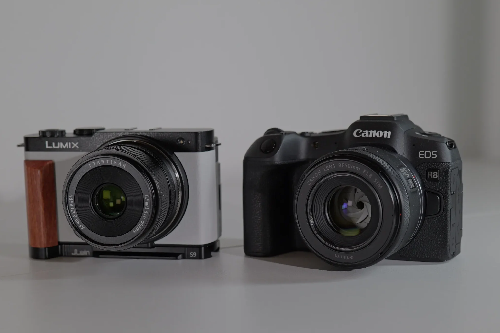 Canon R8 vs Lumix S9 comparison - GZ Reviews